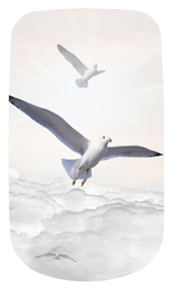 DAROYAL-101-WT Journey Home Clouds Birds White